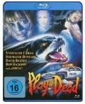 Cover-Bild zum Titel 'Play Dead' von 'Lothrop W. Jordan, Robert Farrar'