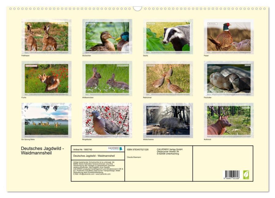 InsideView 5