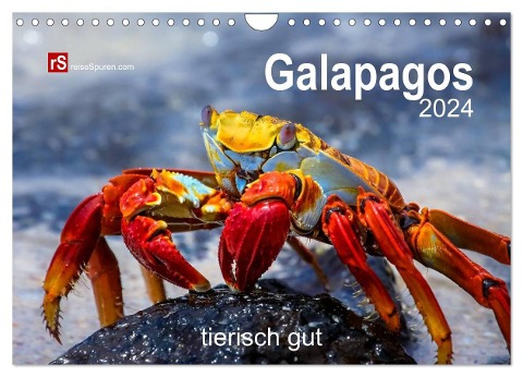 Galapagos 2024 tierisch gut (Wandkalender 2024 DIN A4 quer), CALVENDO Monatskalender - Uwe Bergwitz
