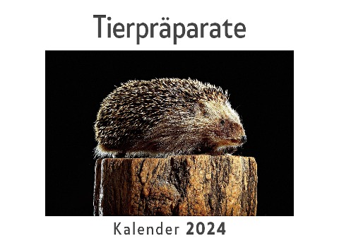 Tierpräparate (Wandkalender 2024, Kalender DIN A4 quer, Monatskalender im Querformat mit Kalendarium, Das perfekte Geschenk) - Anna Müller