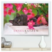 Inselkatzen (hochwertiger Premium Wandkalender 2026 DIN A2 quer), Kunstdruck in Hochglanz - Christina Krutz
