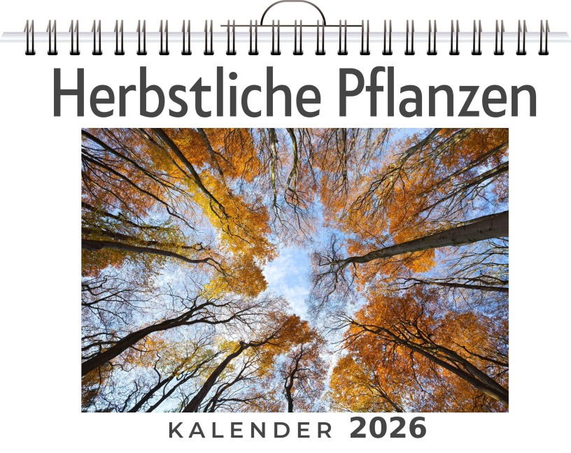 Herbstliche Pflanzen - Ben Maier Herbstliche Pflanzen - Ben Maier