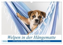 Welpen in der Hängematte (Wandkalender 2026 DIN A3 quer), CALVENDO Monatskalender - Fotodesign Verena Scholze