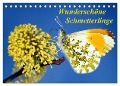 Wunderschöne Schmetterlinge (Tischkalender 2024 DIN A5 quer), CALVENDO Monatskalender - Lothar Reupert