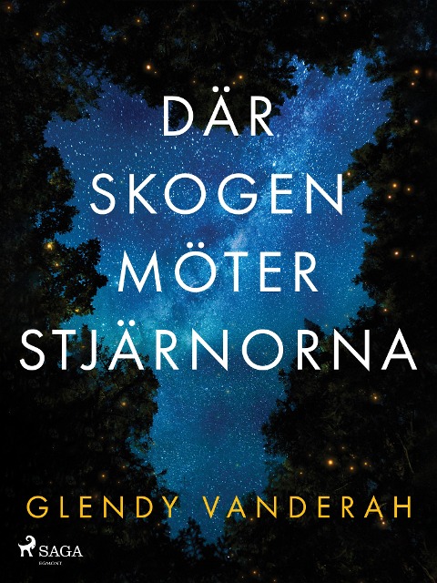 Där skogen möter stjärnorna - Glendy Vanderah