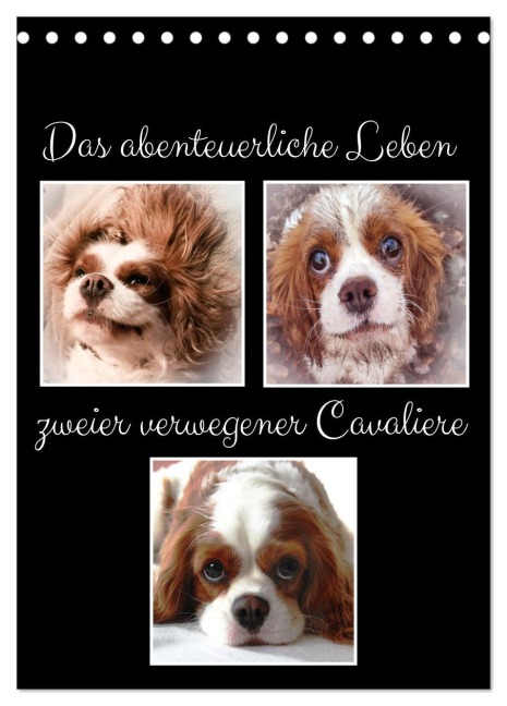 Das abenteuerliche Leben zweier verwegener Cavaliere (Tischkalender 2026 DIN A5 hoch), CALVENDO Monatskalender - Eva Ola Feix Das abenteuerliche Leben zweier verwegener Cavaliere (Tischkalender 2026 DIN A5 hoch), CALVENDO Monatskalender - Eva Ola Feix