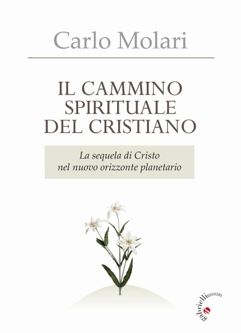 Il Cammino spirituale del cristiano. La sequela di Cristo nel nuovo orizzonte planetario - Carlo Molari