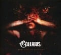 Cover-Bild zum Titel 'Trusting The Illusion' von 'Collibus'