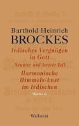 Cover-Bild zum Titel 'Irdisches Vergnügen in Gott' von 'Barthold Heinrich Brockes'