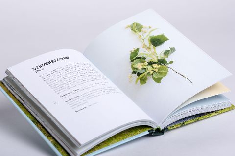 InsideView 11