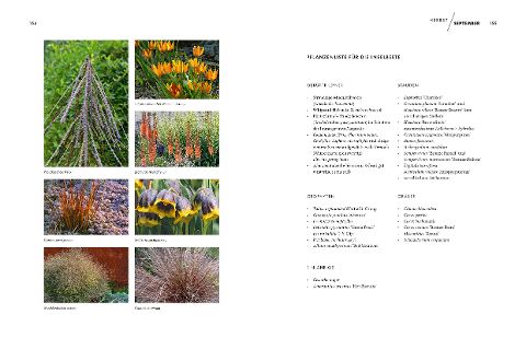 InsideView 17