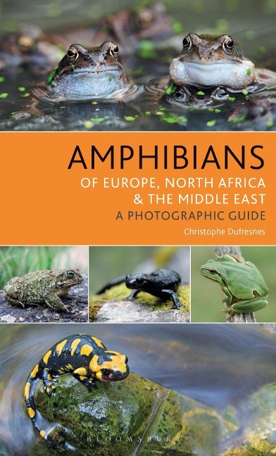 Amphibians of Europe, North Africa and the Middle East - Christophe Dufresnes