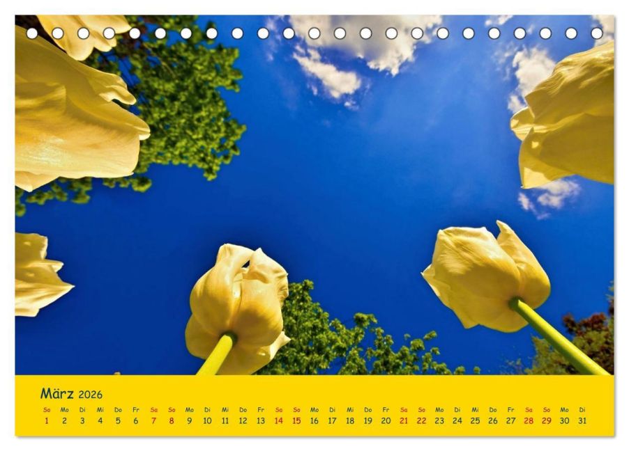 InsideView 8