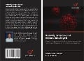 Cover-Bild zum Titel 'Rozwój przeciwcia¿ monoklonalnych' von 'Akhil Kumar Gupta, S. K. Kadian'