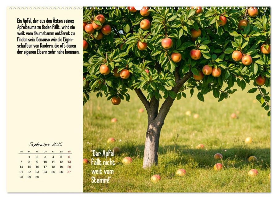 InsideView 13