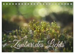 Cover-Bild zum Titel 'Zauber des Lichts (Tischkalender 2026 DIN A5 quer), CALVENDO Monatskalender' von 'Christine Wirges'