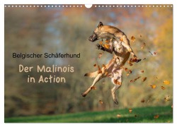 Cover-Bild zum Titel 'Belgischer Schäferhund - Der Malinois in Action (Wandkalender 2027 DIN A3 quer), CALVENDO Monatskalender' von 'Tanja Brandt'