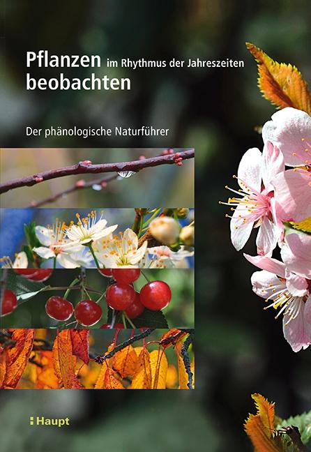 Pflanzen im Rhythmus der Jahreszeiten beobachten - Vincent Badeau, Marc Bonhomme, Fabrice Bonne, Jennifer Carré, Sébastien Cecchini