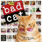 Cover-Bild zum Titel 'Bad Cat Wall Calendar 2026' von 'Workman Calendars'
