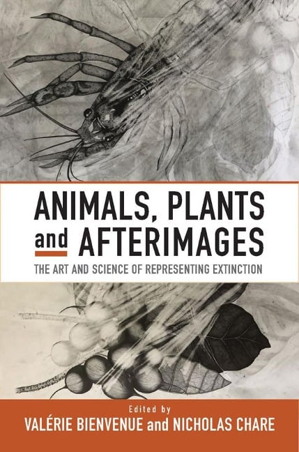 Animals, Plants and Afterimages - 