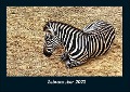 Zebrazauber 2022 Fotokalender DIN A4 - Tobias Becker