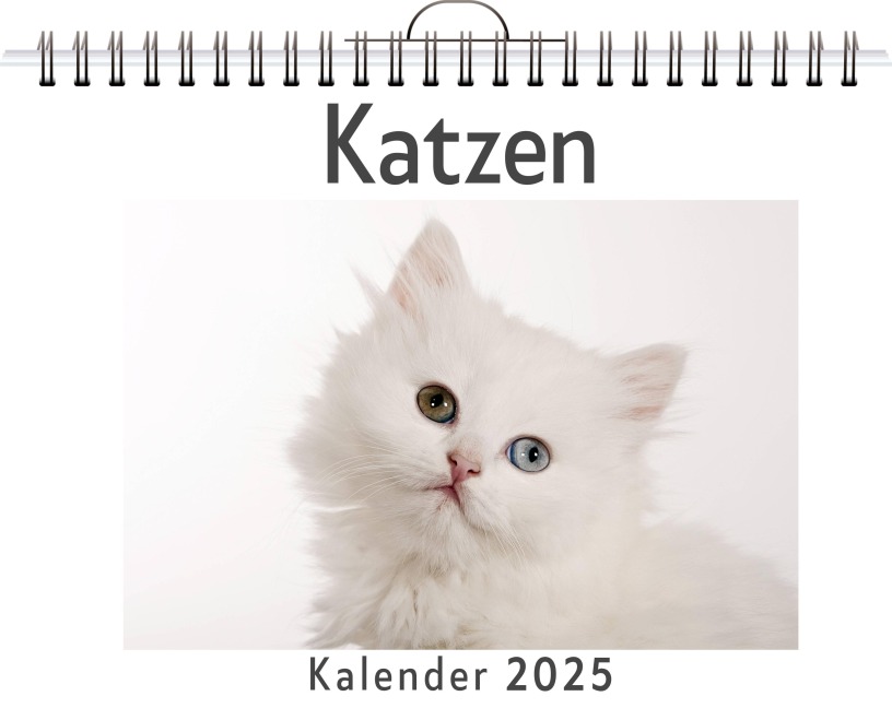 Katzen - (Wandkalender 2025, Kalender DIN A4 quer, Monatskalender im Querformat mit Kalendarium, das perfekte Geschenk) - Luisa Werner