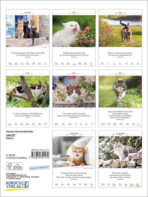 InsideView 15