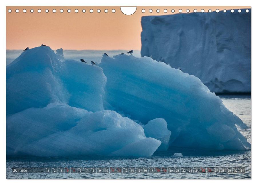 InsideView 12