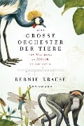Cover-Bild zum Titel 'Das große Orchester der Tiere' von 'Bernie Krause'