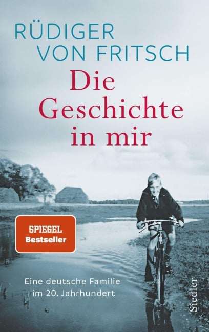 Die Geschichte in mir - Rüdiger von Fritsch
