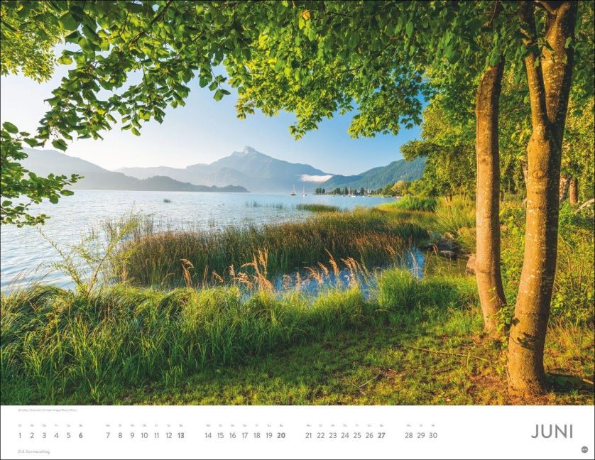 InsideView 6