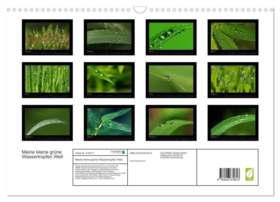 InsideView 5