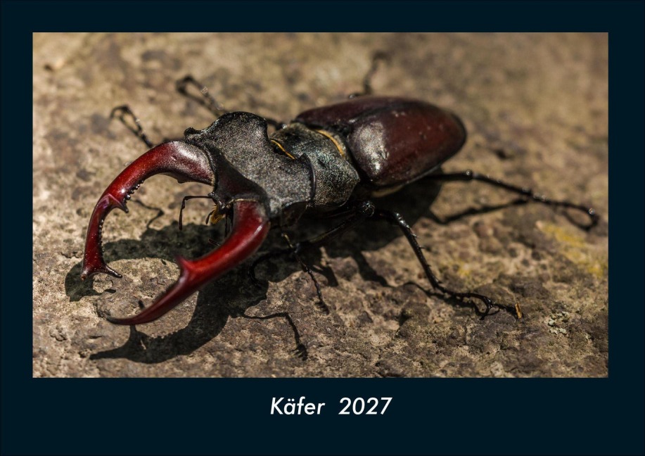 Käfer  2027 Fotokalender DIN A4 - Tobias Schmitt, Kevin Heber