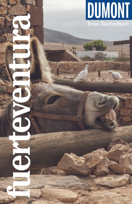DuMont Reise-Taschenbuch Fuerteventura - Susanne Lipps