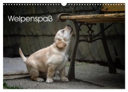 Cover-Bild zum Titel 'Welpenspaß (Wandkalender 2026 DIN A3 quer), CALVENDO Monatskalender' von 'Claudia Pelzer (Pelzer-Photography)'