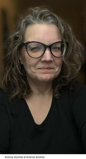 InsideView 1