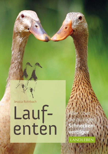 Laufenten - Jessica Rohrbach