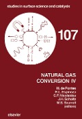 Cover-Bild zum Titel 'Natural Gas Conversion IV' von ''
