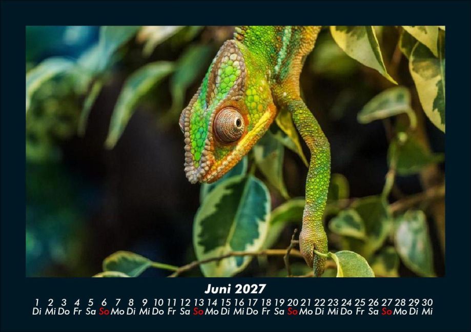 InsideView 10