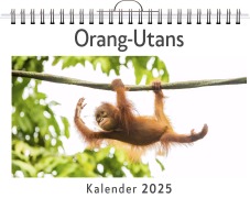 Cover-Bild zum Titel 'Orang-Utans - (Wandkalender 2025, Kalender DIN A4 quer, Monatskalender im Querformat mit Kalendarium, das perfekte Geschenk)' von 'Lucy Braun'
