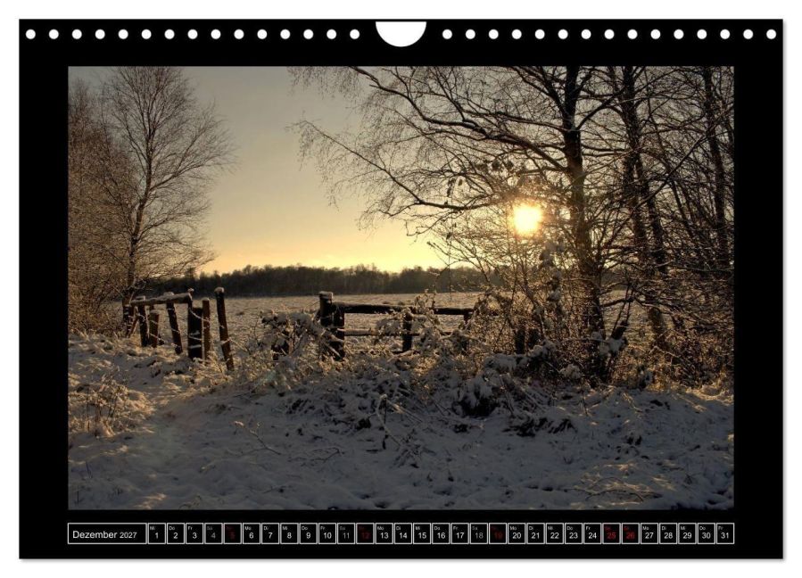 InsideView 4