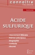 Cover-Bild zum Titel 'Fiche de lecture Acide sulfurique de Nothomb (Analyse littéraire de référence et résumé complet)' von 'Amélie Nothomb'