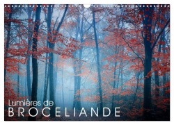 Cover-Bild zum Titel 'Lumières de Brocéliande (Calendrier mural 2026 DIN A3 vertical), CALVENDO calendrier mensuel' von 'Philippe Manguin'