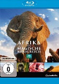 Cover-Bild zum Titel 'Afrika - Das magische Königreich' von 'Patrick Doyle'