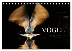 Cover-Bild zum Titel 'VÖGEL (Tischkalender 2026 DIN A5 quer), CALVENDO Monatskalender' von 'Luis Manuel Iglesias Nuñez'