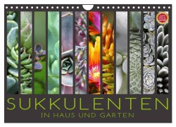 Sukkulenten in Haus und Garten (Wandkalender 2026 DIN A4 quer), CALVENDO Monatskalender - Martina Cross