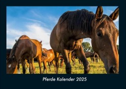 Cover-Bild zum Titel 'Pferde Kalender 2025 Fotokalender DIN A4' von 'Tobias Becker'