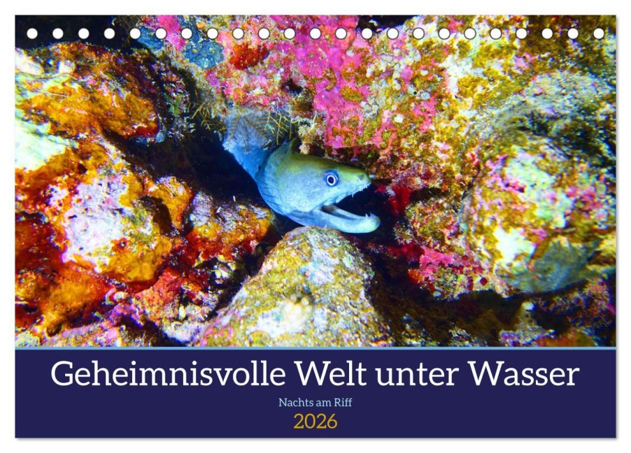 Geheimnisvolle Welt unter Wasser - Nachts am Riff (Tischkalender 2026 DIN A5 quer), CALVENDO Monatskalender - Andrea Hess