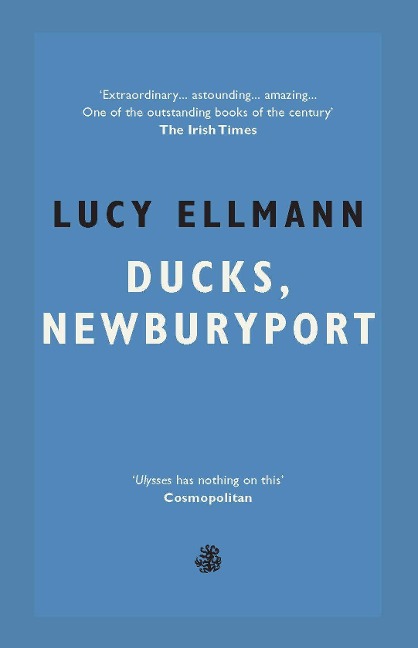 Ducks, Newburyport - Lucy Ellmann