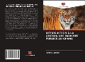 Cover-Bild zum Titel 'INTRODUCTION À LA GESTION DES MARCHÉS PUBLICS AU GHANA' von 'John G. Gatsi'